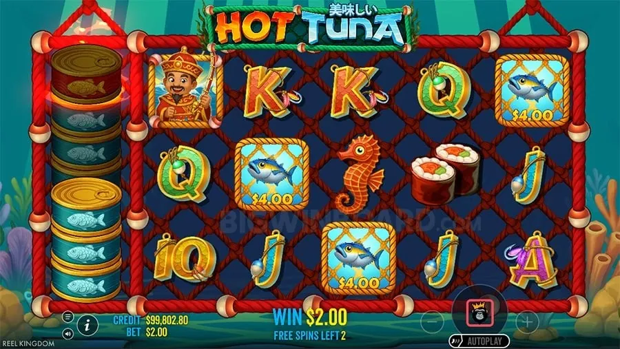 plus777 login app Probability in Casino Games